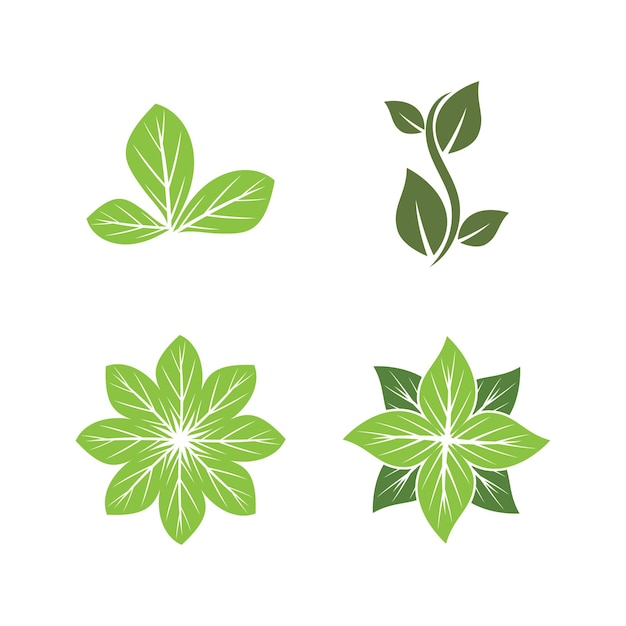 Green leaf illustration nature logo design