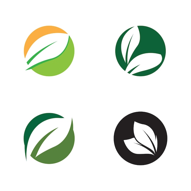 Green leaf illustration nature logo design