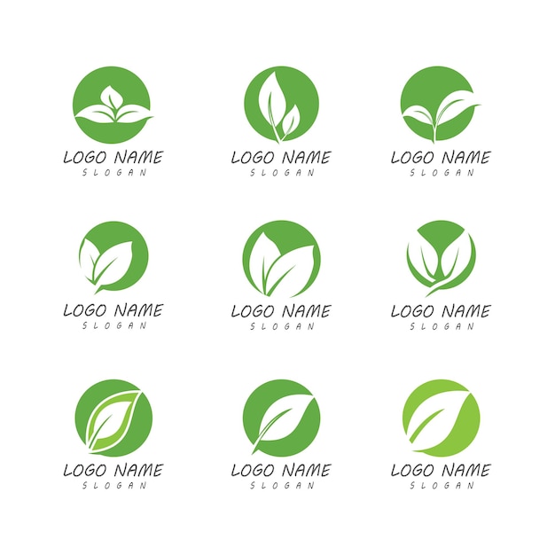 Green leaf illustration nature logo design