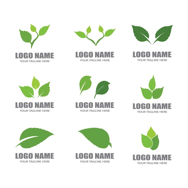 Green leaf illustration nature logo design