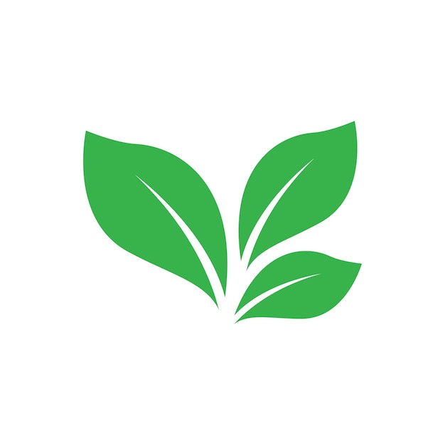 Green leaf illustration nature logo and symbol design