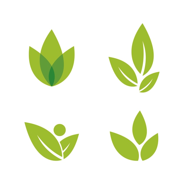 Vector green leaf illustration