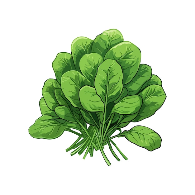 벡터 ⁇  바탕에 고립된 초록색 잎