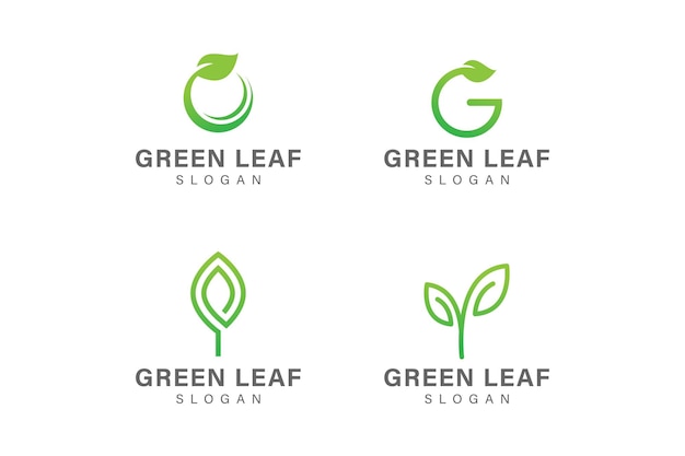 Green leaf logo collection