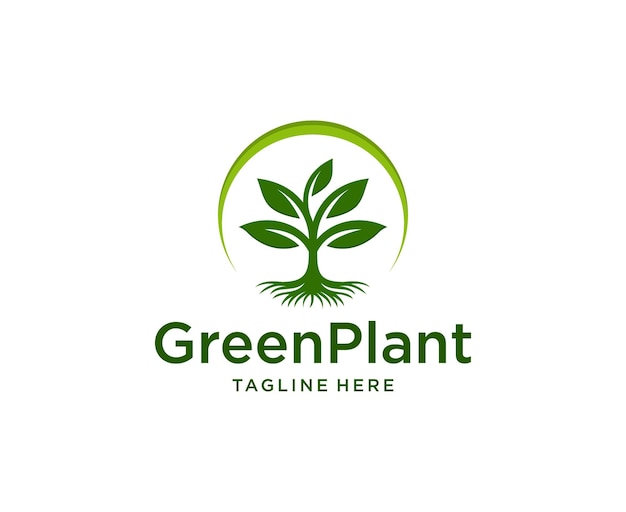 Green Leaf Logo design Vector green plant logo green leaf seedling growing plant