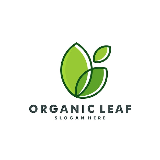 Vector green leaf logo design vector