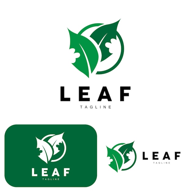 Vettore green leaf logo ecologia pianta naturale vettore natura design illustrazione modello icona