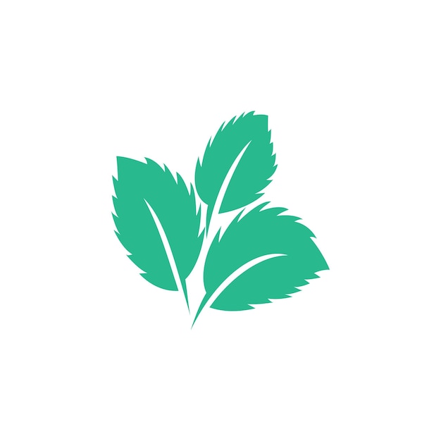 Green leaf logo ecology nature element vector icon