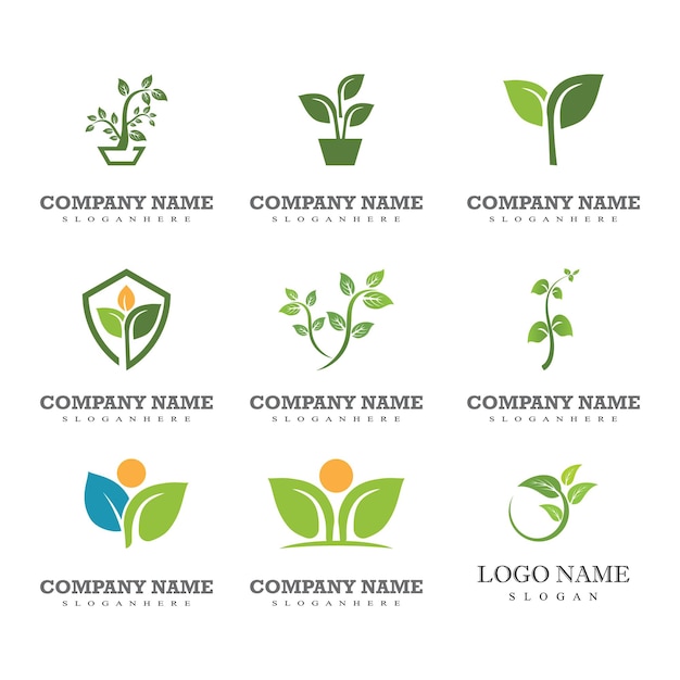 Green leaf logo ecology nature element vector icon