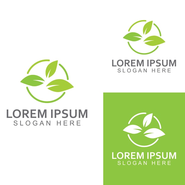 ベクトル 緑の葉のロゴ庭の植物と自然ベクトルデザインコンセプトイラストベクトルテンプレート