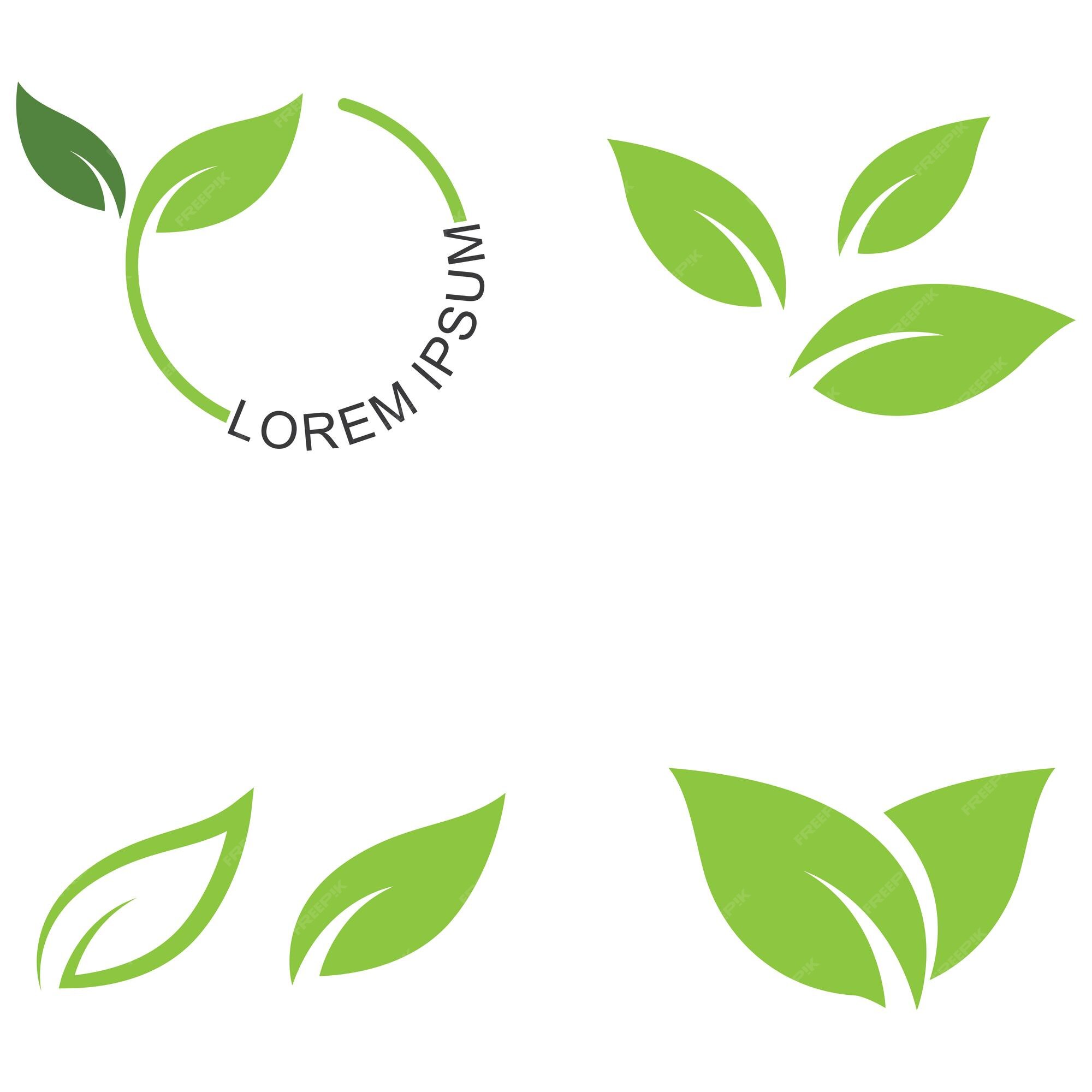 Premium Vector  Green leaf nature plant conceptual symbol vector