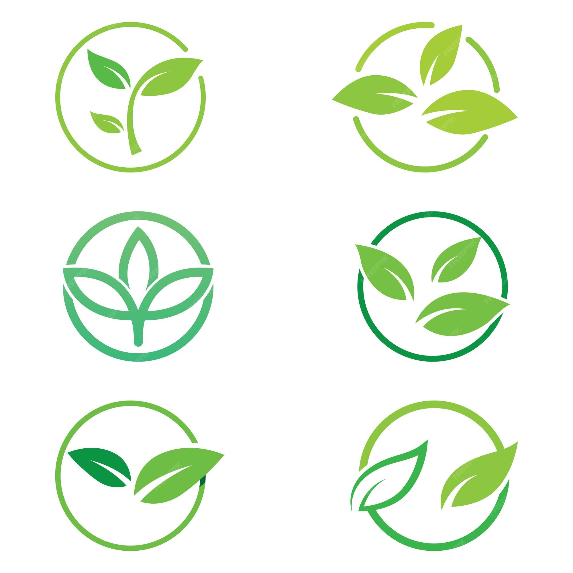 Premium Vector  Green leaf nature plant conceptual symbol vector