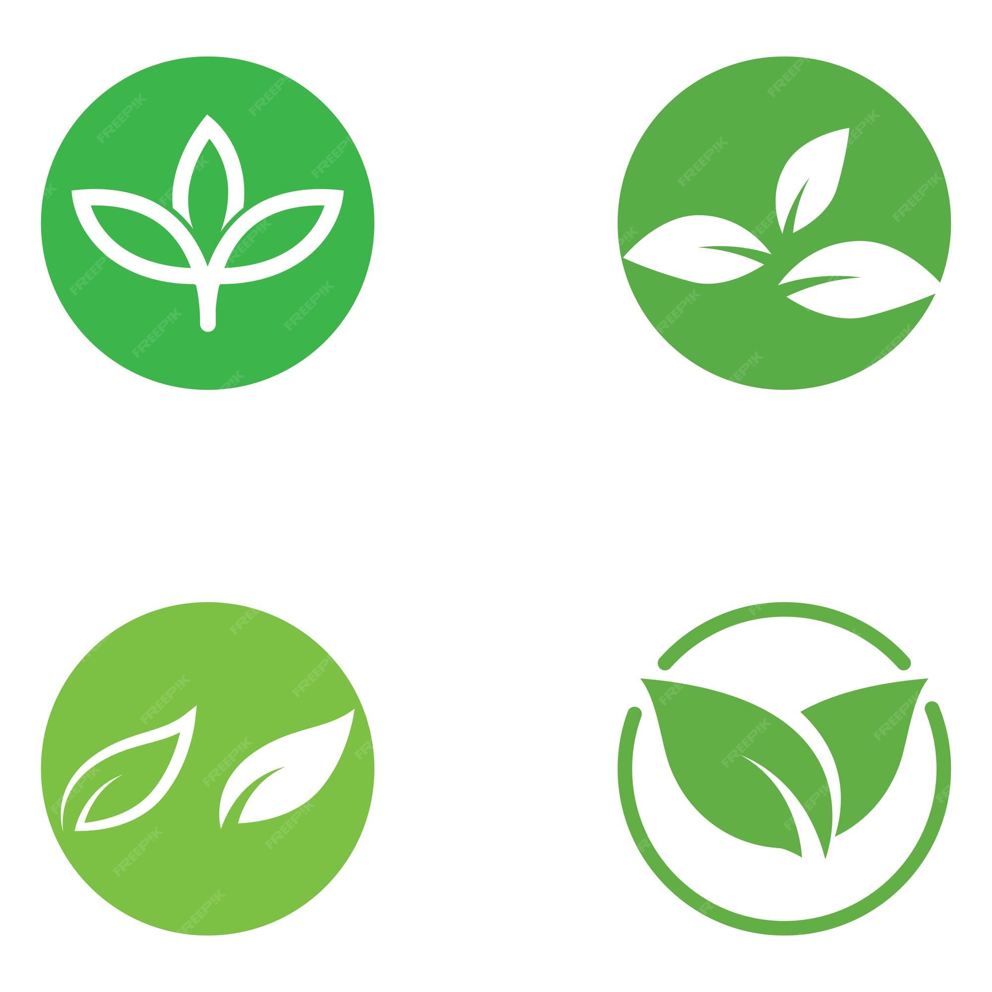 Premium Vector  Green leaf nature plant conceptual symbol vector