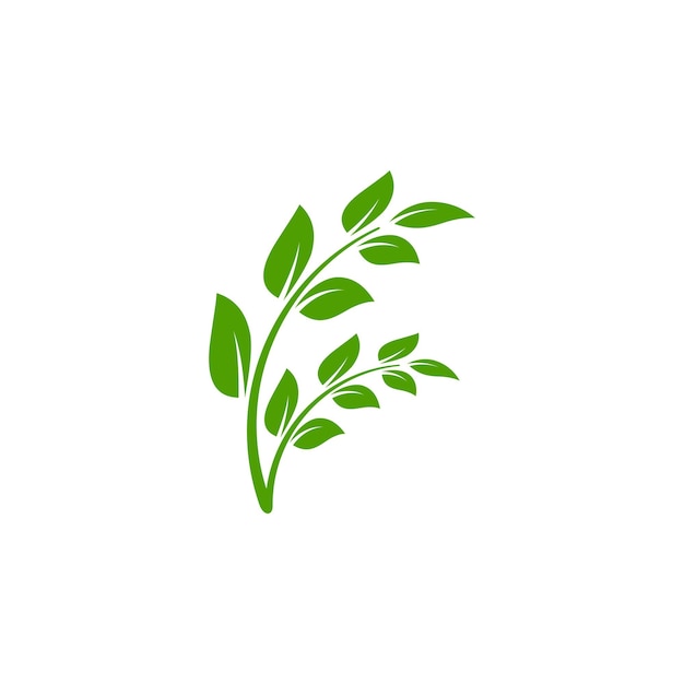 Green leaf logo icon design template vector