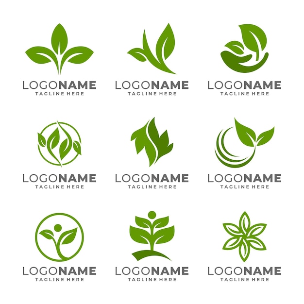 Vector green leaf logo icon vector design