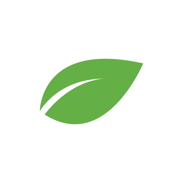 Vettore icona del logo foglia verde