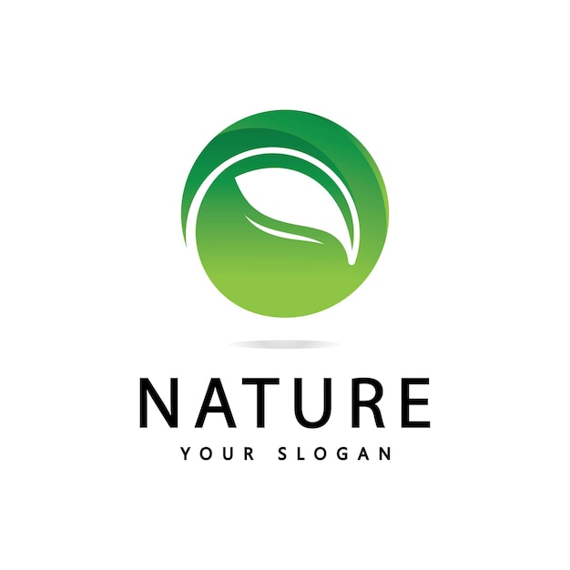 Green leaf logo  Nature icon design