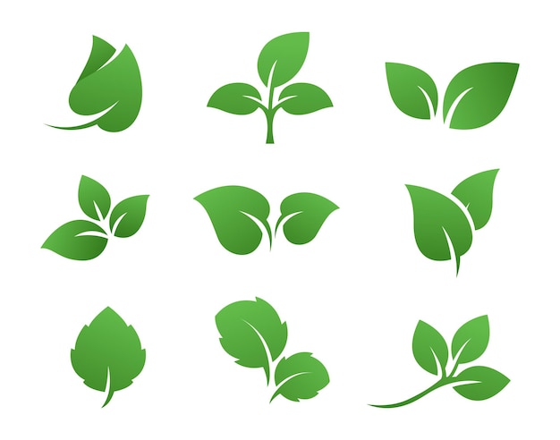 Green leaf logo set design