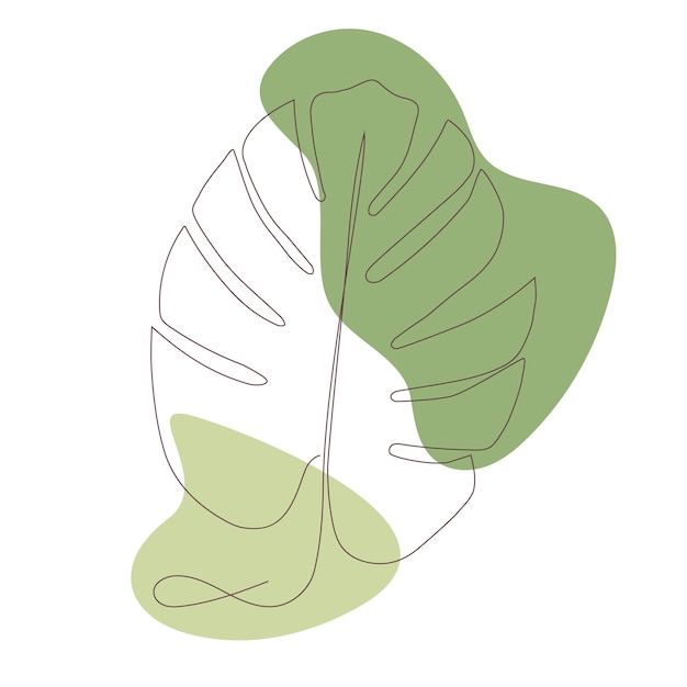 Premium Vector | Green leaf monstera deliciosa one line art