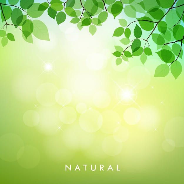 Green leaf natural background vector illustration