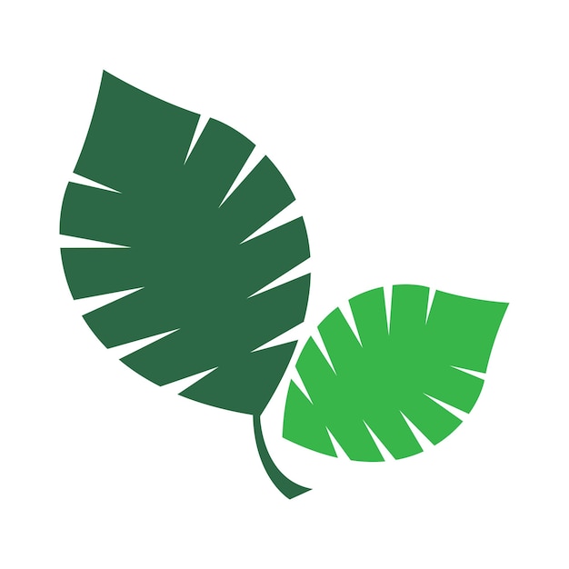 Vector green leaf natural leaf icon logo design template