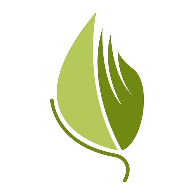 Green leaf natural leaf icon logo design template