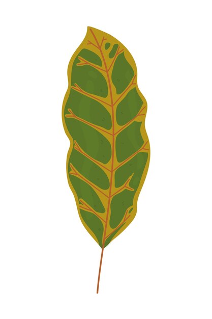 Vector green leaf nature icon design isolated