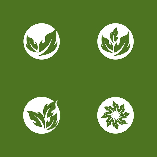 Premium Vector  Green leaf nature plant conceptual symbol vector