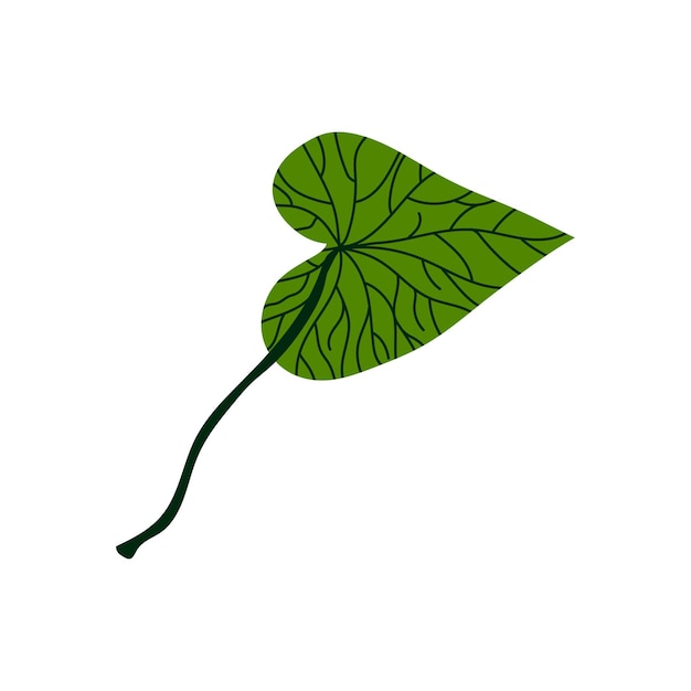 Вектор Зеленый лист тропического дерева элемент ботанического дизайна векторная иллюстрация на белом фоне
