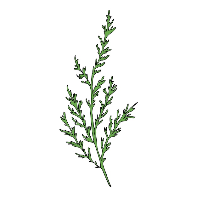 a green leaf of a plant with the word " on it "