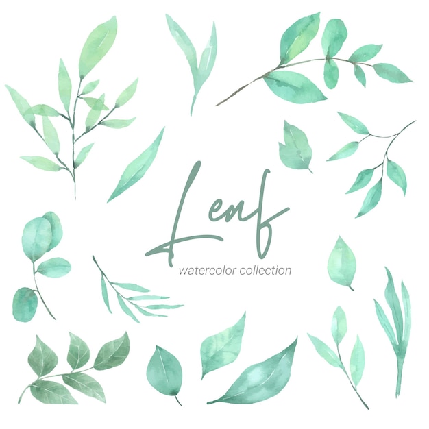 Green leaf set aquarel handverf