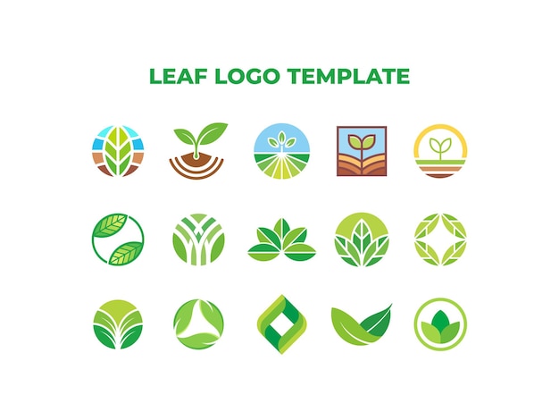 Green Leaf Vector Bundle