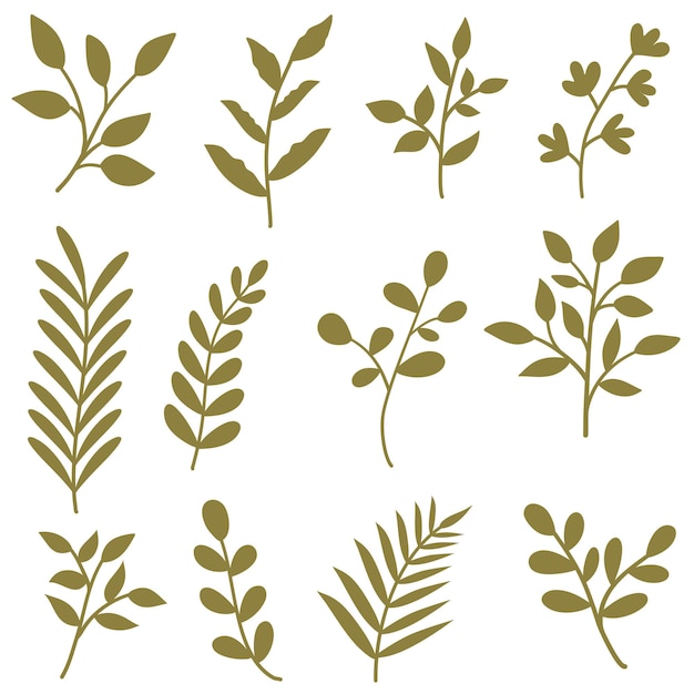 green leaf vector collection