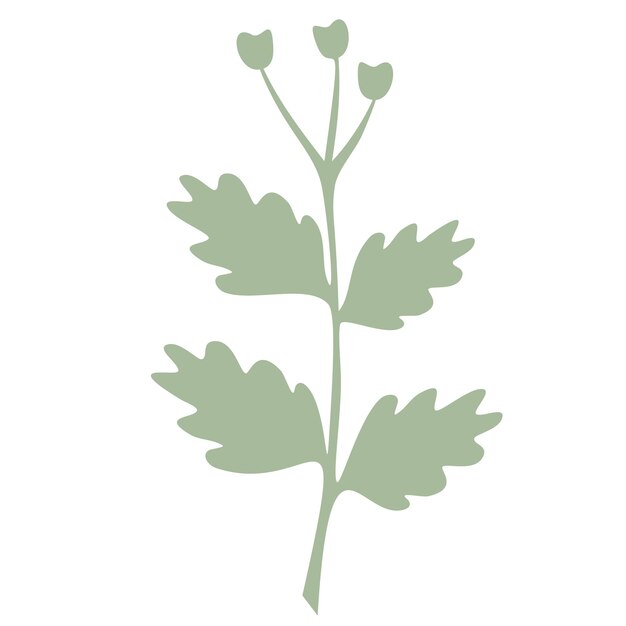 Вектор Вектор зеленого листа выделен на белом фоне. листья в современном плоском стиле