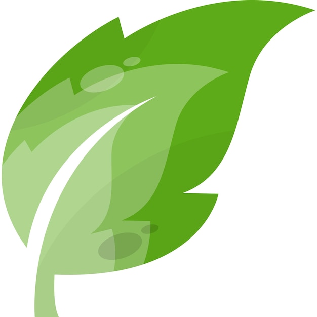 Green leaf vector logo