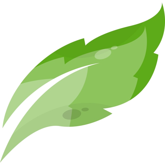 Vector green leaf vector logo