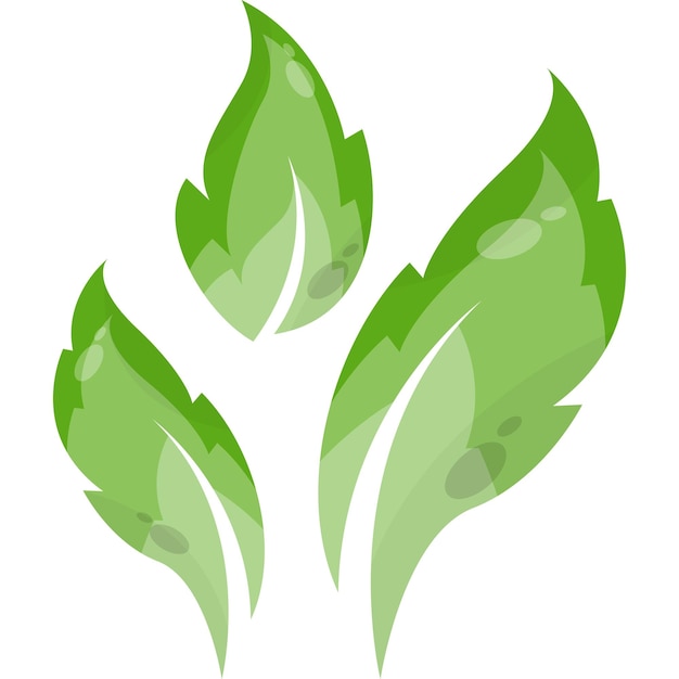 Vector green leaf vector logo