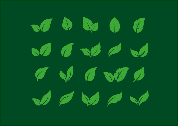 green leaf vector