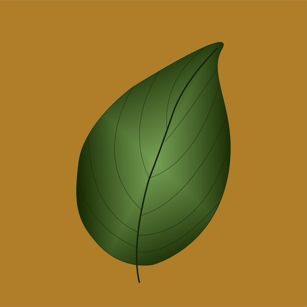 Vector a green leaf with a dark green leaf on a gold background.