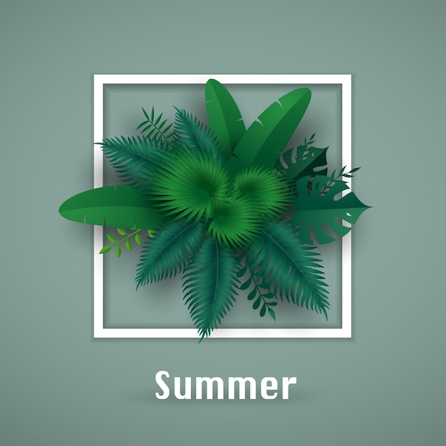 Vector green leafs or foliage with white square frame.