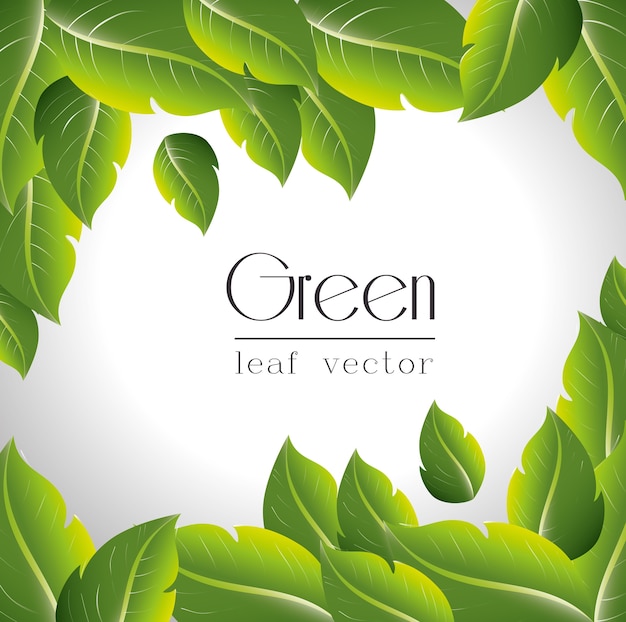 green leafs isolated design