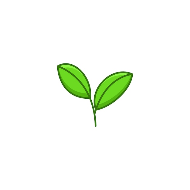 A green leafy plant with a green leaf on it