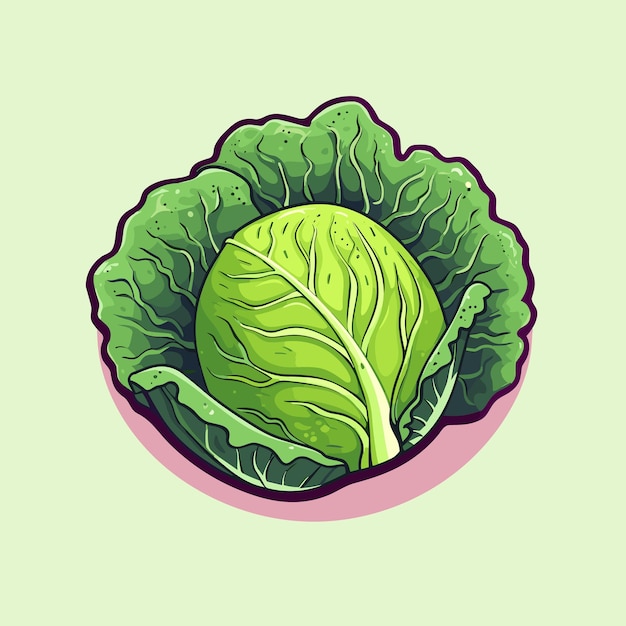 Vector a green leafy vegetable on a light green background