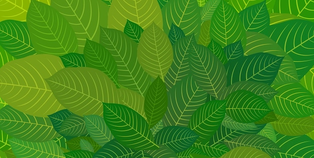 Green leaves Background for postcard poster brochure