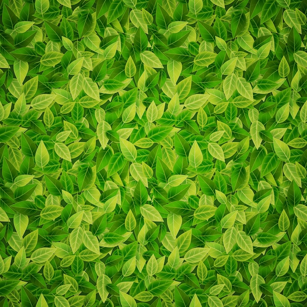 Vector green leaves background, vector illustration