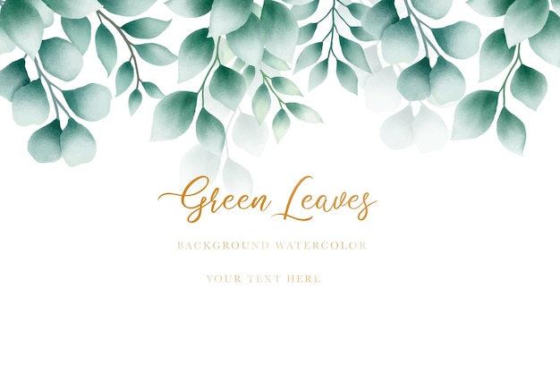 зеленые листья фон акварель