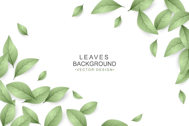 Green leaves background with copy space