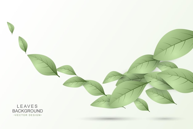 Green leaves background with copy space