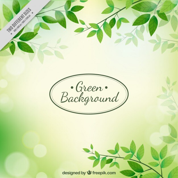 वेक्टर green leaves background