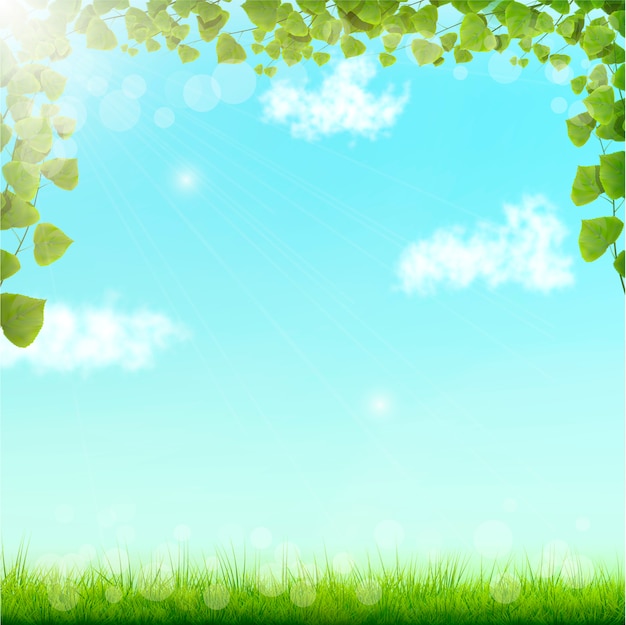 Green Leaves On Blue Sky Background